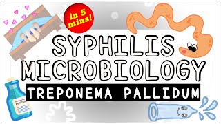 Syphilis Treponema pallidum Microbiology All you need to know [upl. by Adali]