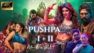 Pushpa I amp Pushpa II  Mega Mashup  DJ Dalal amp VDJ Mahe  Srivalli  O Antava  Kissik amp More [upl. by Sivart777]