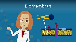 Biomembran  Aufbau und Funktion [upl. by Naras]