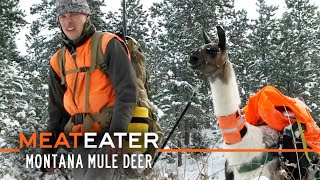 Brotherhood Badlands amp Pack Llamas Montana Mule Deer  S1E07  MeatEater [upl. by Sirrah773]