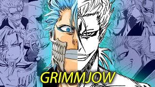 Grimmjow Jaegerjaquez THE REBEL  BLEACH Character Analysis [upl. by Hearn]