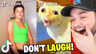 The ULTIMATE TikTok Try Not To LAUGH Challenge 99 FAIL [upl. by Leinto]