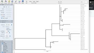 FigTree Tutorial [upl. by Llij]