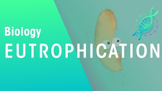 What Is Eutrophication  Agriculture  Biology  FuseSchool [upl. by Wiencke376]