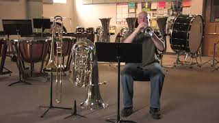 How Do Brass Instruments Make Sound [upl. by Atiuqer]