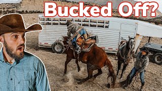 Cow HeadButts My Mule on Cattle Drive Vlog 37 [upl. by Metts]