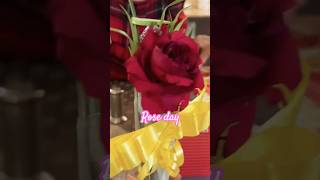 Humara rose day shortsvideo [upl. by Diane-Marie634]