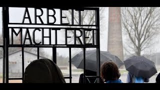 SACHSENHAUSEN AfDGruppe provoziert Besuchsabbruch in KZGedenkstätte [upl. by Claudette]