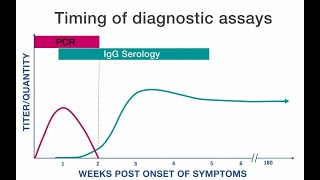 Rickettsial Disease Diagnostic Testing and Interpretation [upl. by Alysia280]