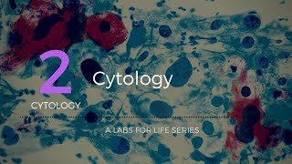 Cytology [upl. by Man929]