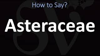 How to Pronounce Asteraceae CORRECTLY [upl. by Imat]