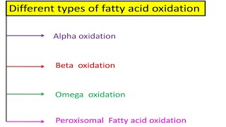 Types of Fatty Acid Oxidation in Biochemistry AlphaBetaOmega amp Peroxisomal Fatty Acid oxidations [upl. by Neala701]