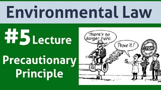 Environmental Law Lecture 5Precautionary Principle [upl. by Aitat]