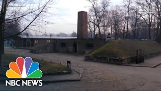 Auschwitz Survivors Return To Death Camp 75 Years Later‌  NBC Nightly News [upl. by Assek792]