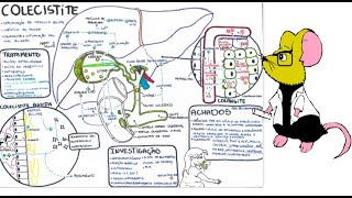 Colecistite e Colangite Patologia complicações diagnóstico e tratamento [upl. by Irina]