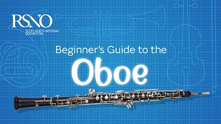 How To Play The Oboe A RSNO Beginners Guide [upl. by Eirrol]