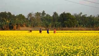 The National Anthem  Jatiyo Sangeet of Bangladesh quotAmar Sonar Bangla quot [upl. by Zannini913]