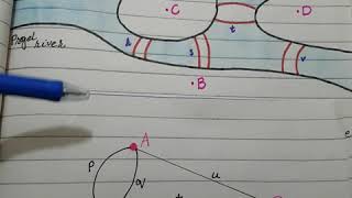 The seven bridges of konigsberg part 1 graph theory [upl. by Karney]