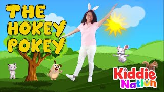 The Hokey Pokey step by step tutorial for kids [upl. by Eleon]