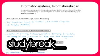 Informationssysteme Informationsbedarf  Wirtschaftsinformatik [upl. by Aseeram]