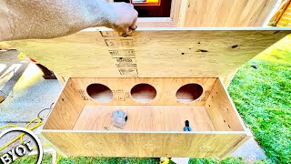 DIY CHICKEN COOP BUILD  Start To Finish [upl. by Egni]