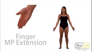 Finger Flexion Extension [upl. by Leinadnhoj]