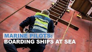 Marine pilots boarding ships at sea in NSW [upl. by Nanji]