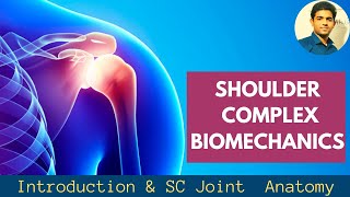 SHOULDER BIOMECHANICS  INTRODUCTION amp STERNOCLAVICULAR JOINT ANATOMYSHOULDER [upl. by Ailad]