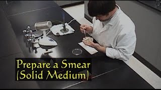 Part 2  Examination of Peripheral Blood Smear [upl. by Omixam]