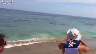 Video shows shark attack feet away from Cape Cod surfers [upl. by Iaras805]