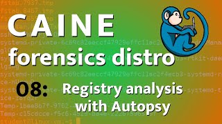 Windows Registry analysis using Autopsy  CAINE  08 [upl. by Lakim540]