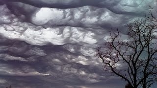 Undulatus asperatus Асператусы в небе [upl. by Uriisa]