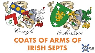 Irish Family Crest Not AngloIrish [upl. by Jaclyn945]