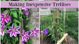 Making Inexpensive Trellises [upl. by Thorr]