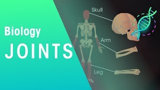 Joints  Physiology  Biology  FuseSchool [upl. by Atterys]