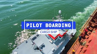 How A Pilot Boards A Cargo Ship  Life At Sea [upl. by Siron]