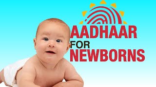 You need just 2 documents to enroll your child for Aadhaar card—check out these simple steps  UIDAI [upl. by Olympias]