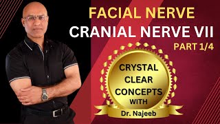 Facial Nerve  Neuroanatomy  Part 14 [upl. by Fine]