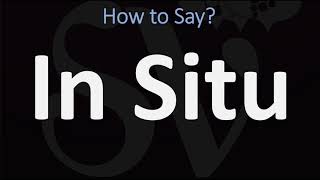 How to Pronounce In Situ CORRECTLY [upl. by Kong595]