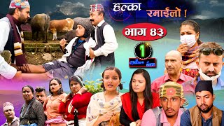 Halka Ramailo  Episode 43  06 September 2020  Balchhi Dhrube Raju Master  Nepali Comedy [upl. by Blus373]