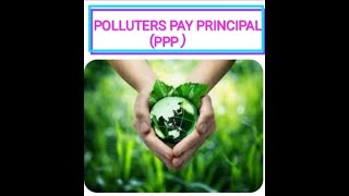 POLLUTER PAYS PRINCIPLE [upl. by Ives]