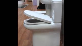 rak soft close toilet seat [upl. by Emera]