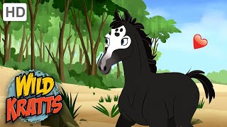 Wild Kratts Wild PoniesFoalCute [upl. by Annoj946]