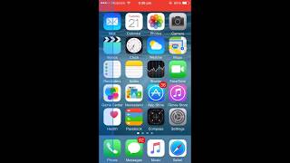 How to Fix Blue Lines Showing On iPhone iPad amp iPod Touch [upl. by Sajet71]