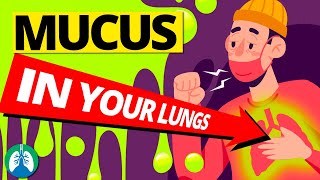 1 Cup will CLEAR UP Mucus amp Phlegm in Sinus Chest and Lungs  Dr Alan Mandell DC [upl. by Ahsilak196]