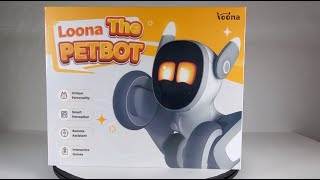 Loona Robot Petbot [upl. by Notnilk]