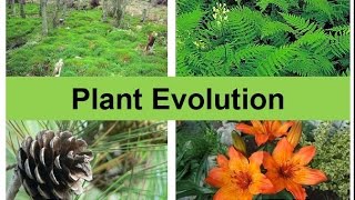 Plant Evolution updated [upl. by Devol]