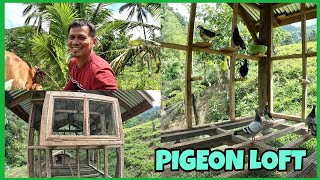 MAY BAGONG BAHAY NA ANG AMING MGA ALAGA PIGEON LOFT DESIGN [upl. by Nolyaj]