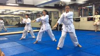 Karate Yellow Belt Exam [upl. by Urquhart]