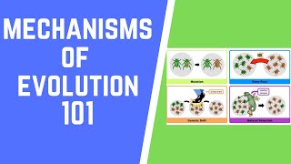 Mechanisms of Evolution 101 [upl. by Imalda]